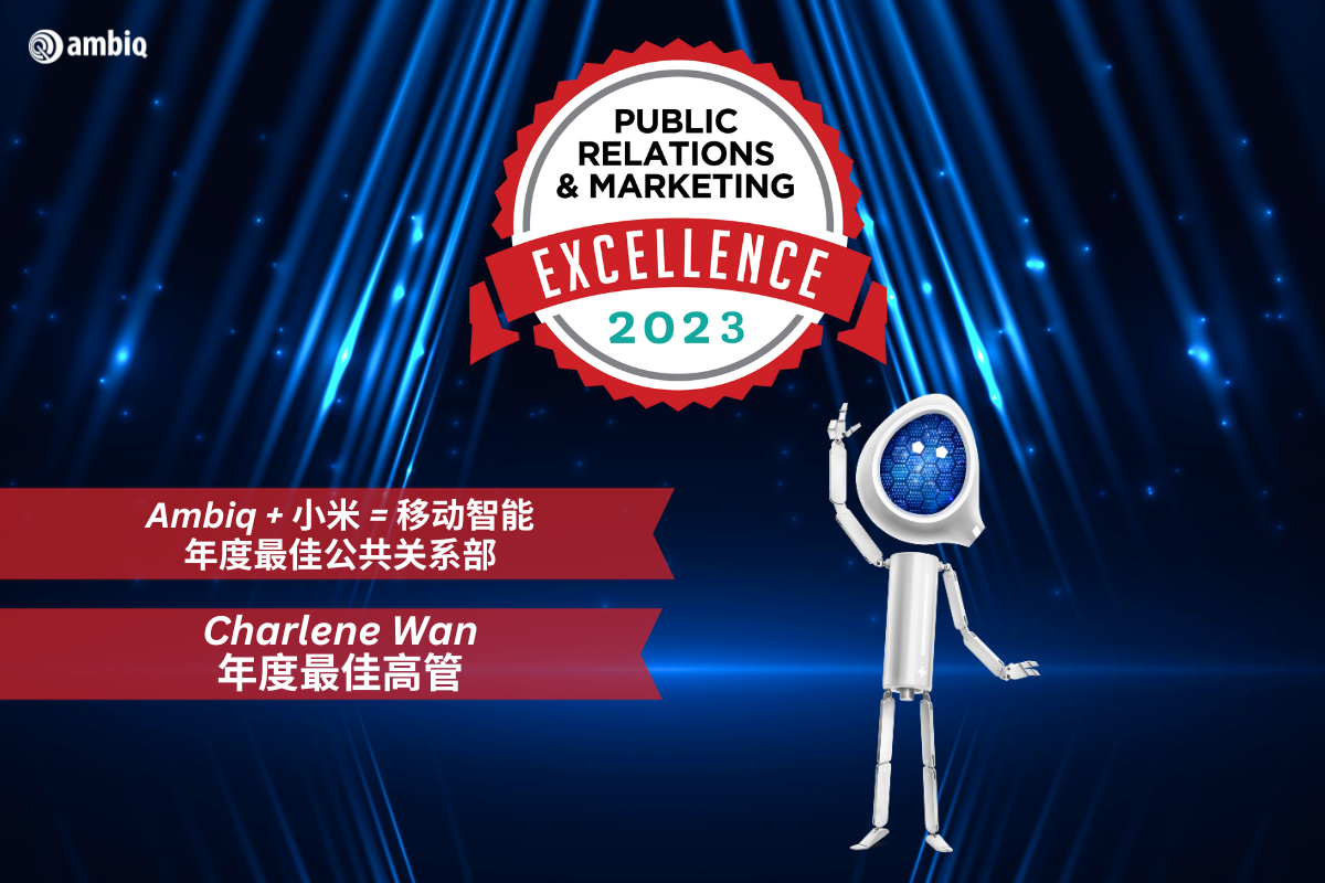 Translations of BIG Marketing Excellence Awards -CN