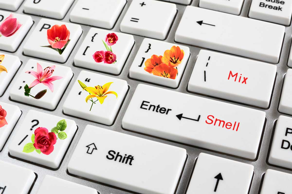 Digital Smell It Makes Scents